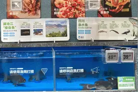 新消费观察 | 平价“瘦身鱼”进入成都生鲜超市 业内人士：价格有望进一步下探图片