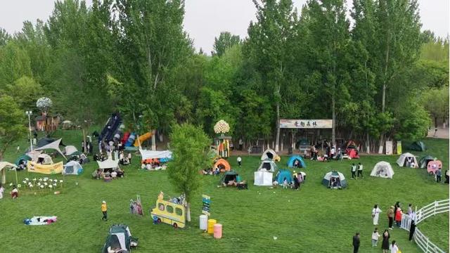 东毛西毛国庆宝藏玩法大公开，解锁田园奇妙日！