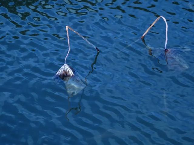 别宅啦！闵行的冬日浪漫，从艺术馆到公园都给你安排好了→