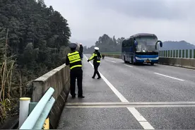 省交通运输综合行政执法七支队十大队： “牛魔王”擅闯高速公路 交通执法人员化身“赶牛倌”图片