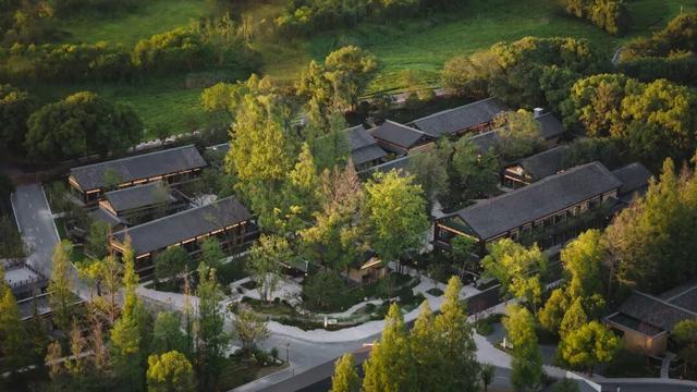 在良渚，多元解锁大遗址可持续保护和传承