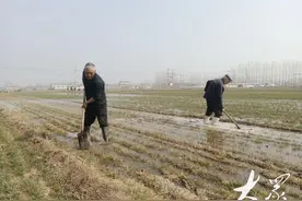 59年前的村建水利，还在浇灌着1300亩好粮田图片