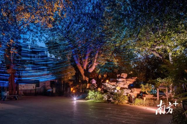 在佛山梁园，感受岭南“仲夏夜之梦”