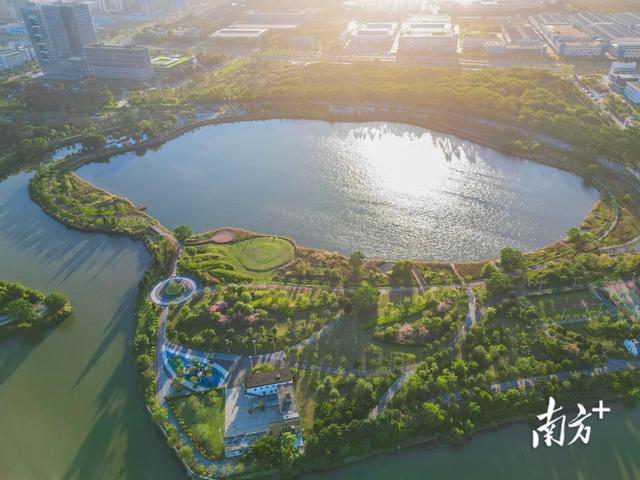 翠亨视窗｜公园占比20%！中山马鞍岛变身“湾区绿客厅”