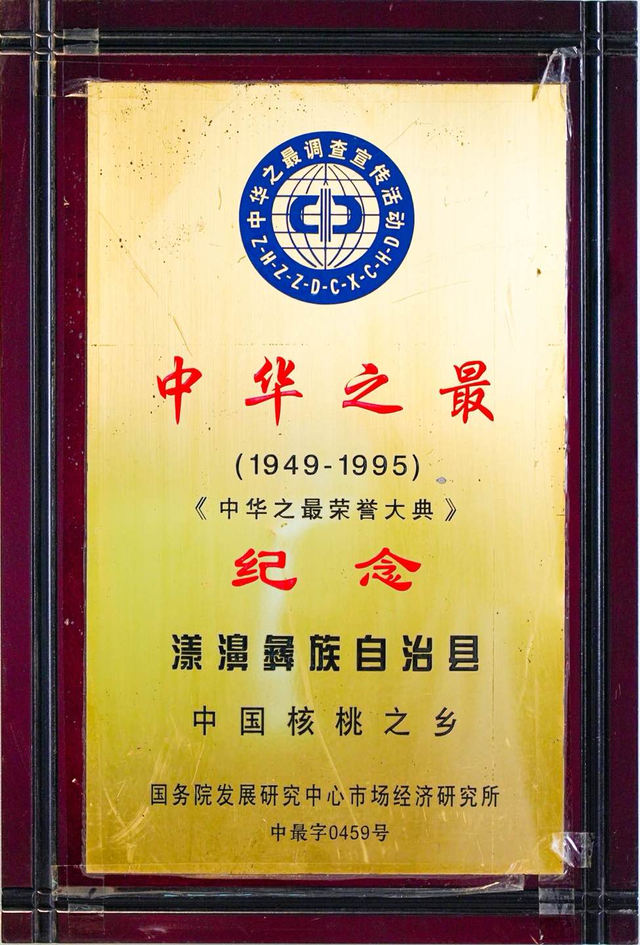 漾濞是“世界核桃起源地”！有五个维度可为证……