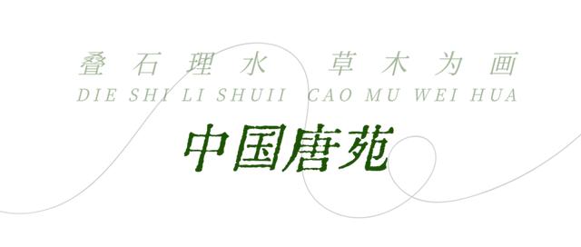 顶级美学!西安这4个园林,美到失语!