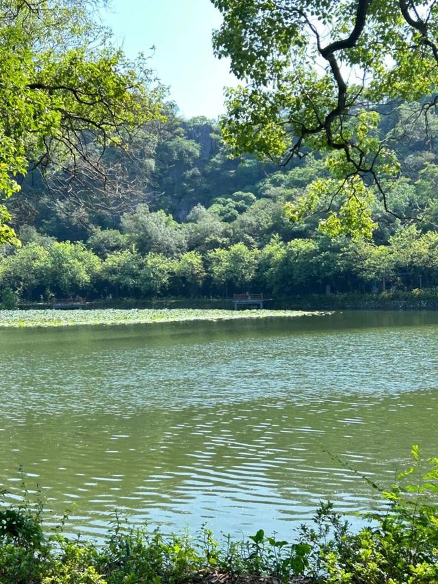一湖清水、四大名山、小鸟天堂……肇庆这里，还是太全面了