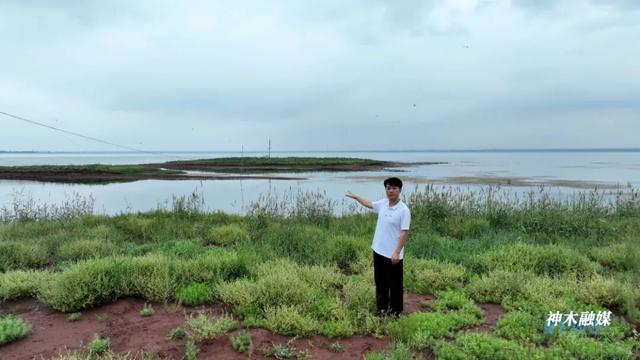 尔林兔镇：以生态为笔 书写幸福答卷