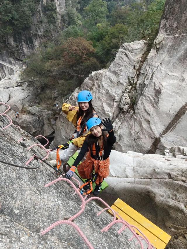 别再问了！洛阳秋色天花板，就藏在这里→
