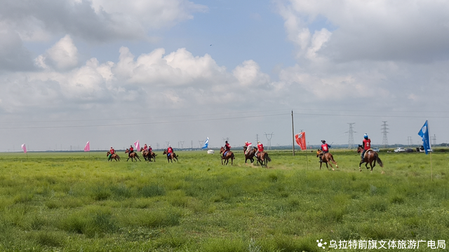 蓝天、白云、绿草地，草原就该这样！