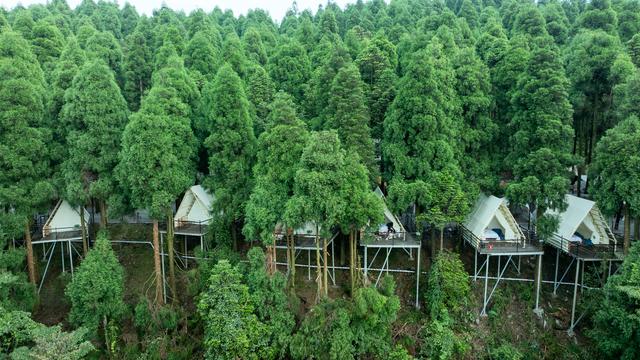 暑期消费乘“热”而上，夏日经济活力澎湃