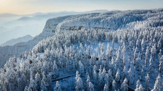 冷空气预警！鹅毛大雪即将突袭瓦屋山！