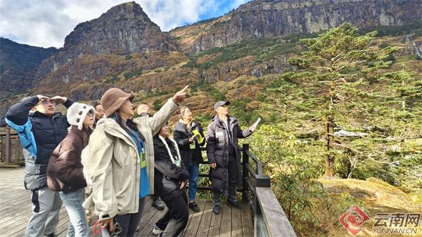 这场调研为轿子山生态科普宣传贡献“跨界智慧”