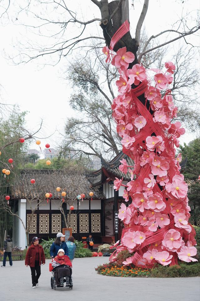 赏梅、逛集市、观看汉服巡游……望江楼公园文旅活动持续点燃春日赏花经济