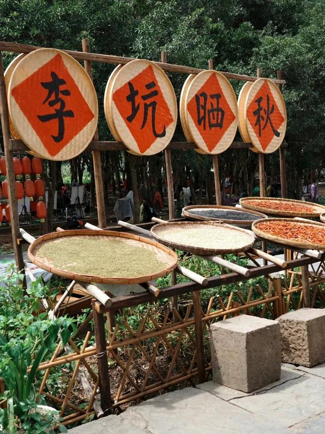 超全攻略！超级治愈！请把假期，交给江西！
