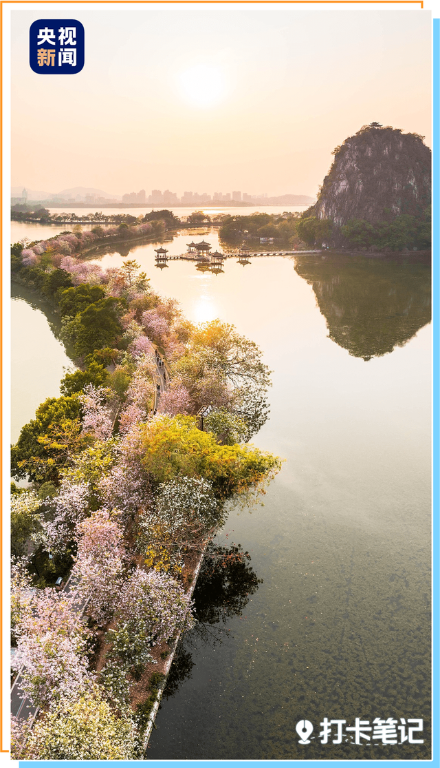 去粤港澳这篇就够了！最新指南→