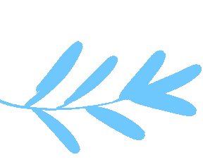 雪顶太白山｜提前邂逅冬日白雪