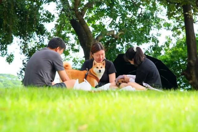 从科学之城到文艺之心，一座松山湖城市地标的周年回响