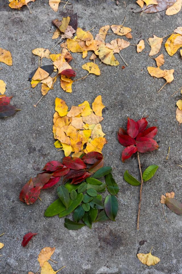 “秋假”第一站！上饶把最美的颜色，“晒”给你看