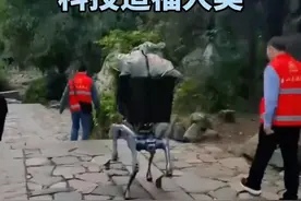 记者在岱顶“逮”到了它！独家揭秘！火爆全网的泰山机器狗，到底什么来头？图片