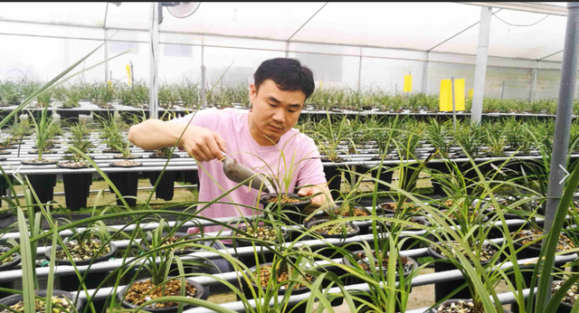 大悟：从“芷兰花开”到“村田水墨”，领略文旅新名片