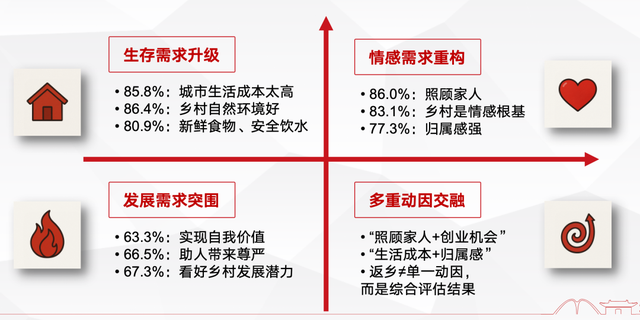 27省份青年入乡调研：还需更多制度性支持与政策性保障