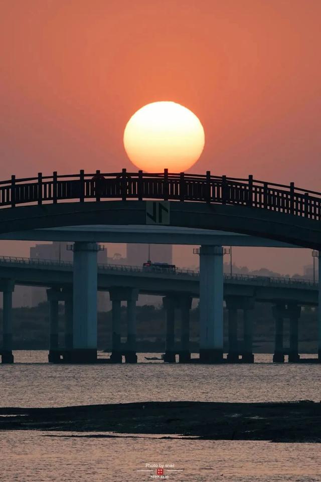 “九八”投洽会收官！澳荻文旅新干线邀您共启新程！