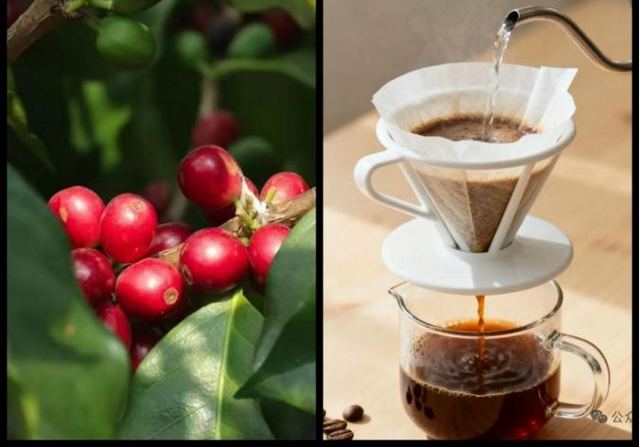 腊勐暖冬邀请函：这个冬天，赴龙陵之约