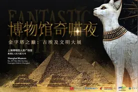 博物馆奇“喵”夜7月19日启售，参加的猫咪有何条件？如何观展？可以带狗吗？图片