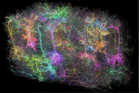 让小鼠看《黑客帝国》：科学家如何绘制迄今最详细大脑“接线图”图片