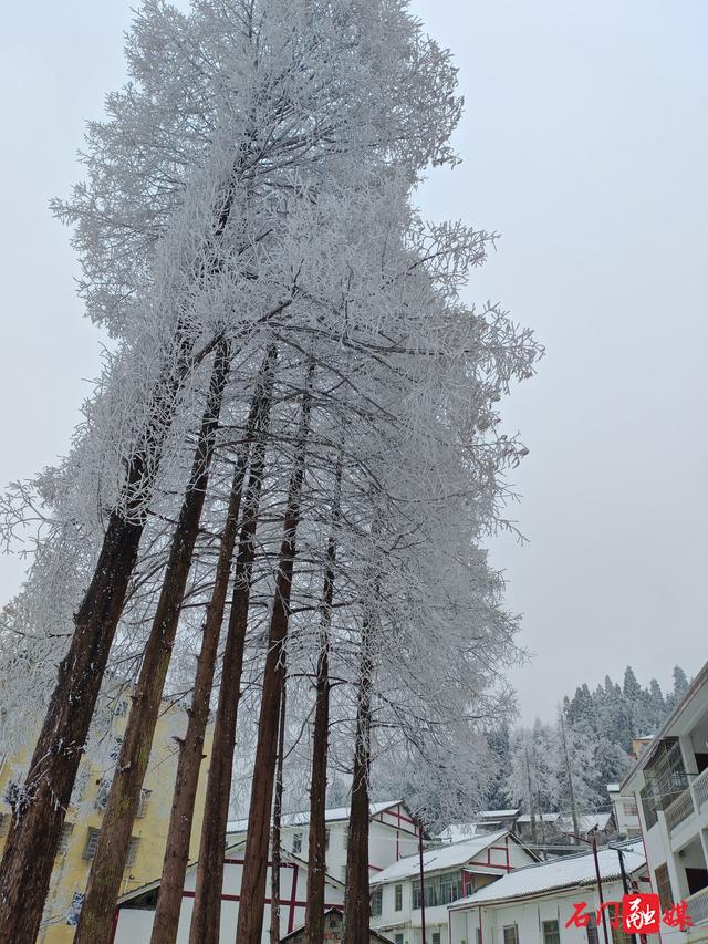 组图 | 石门：银装素裹 东山峰美成童话