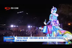 四川新闻联播丨“双智新品 供需适配”对接交流暨第三届中国（四川）国际熊猫消费节在蓉启动 王晓晖施小琳出席图片