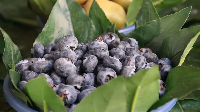 冬暖花开游云南丨红河，一场不期而遇的温暖邀约