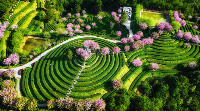 11月29日-12月1日，2025中国美丽乡村广场舞大赛即将燃动巴中！