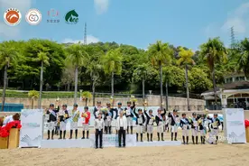 广东队、上海队、浙江队和河北队斩获广东全运会马术场地障碍赛门票图片