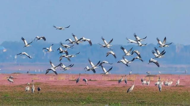 今日立冬 | 鄱湖映霜色，暖食沁人心