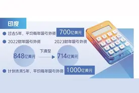 印度实现吸引外资目标争议大图片