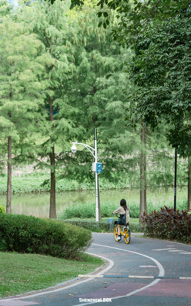 “看牛看海看夜景，深圳骑行路线精选”