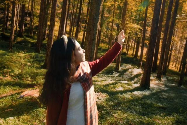 醴陵出发1日游天花板！秋景温泉全搞定！