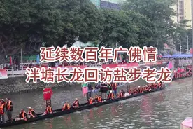 延续数百年广佛情，泮塘长龙回访盐步老龙图片