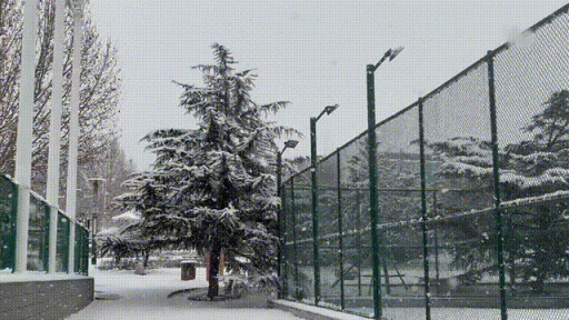 雪中的房山真美