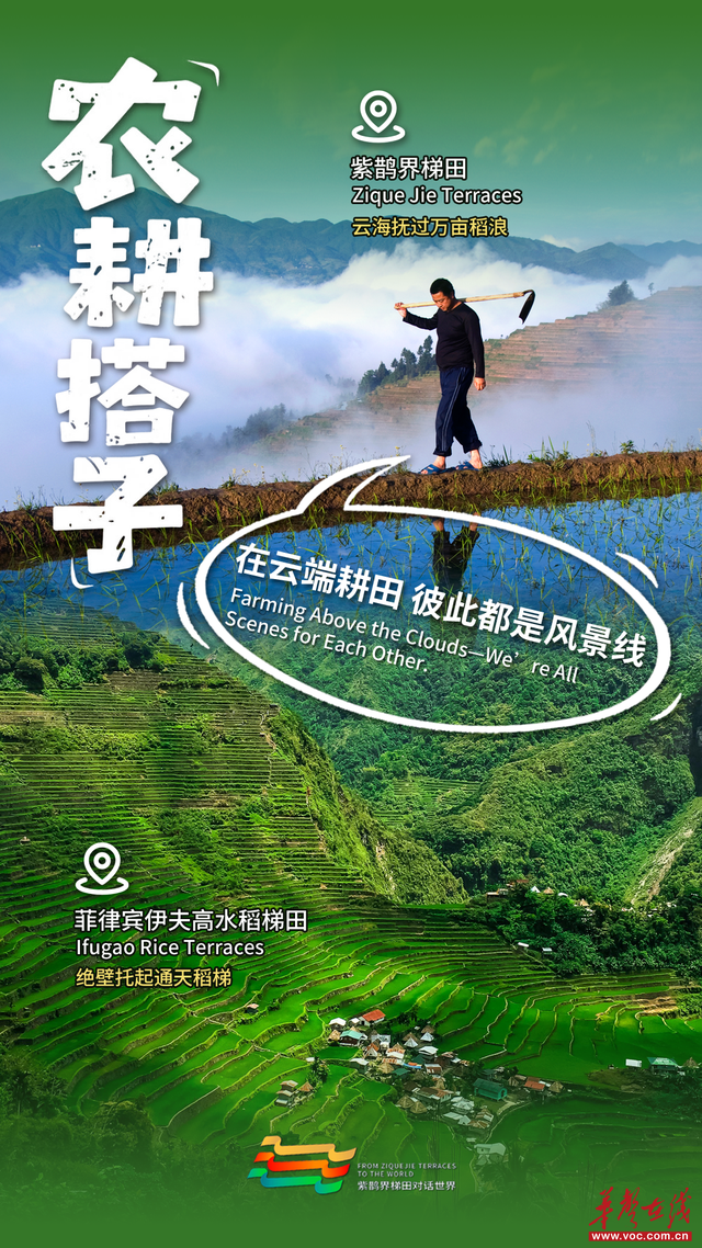 【双语海报】紫鹊界全球“摇人”：解锁我的世界级神仙搭子