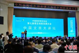 旅游景区如何实现创新发展？文旅界专家学者在渝研讨图片