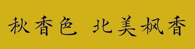 上海顶级秋景！藏着传统中国色→