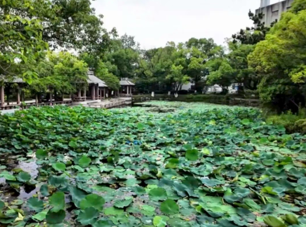 周末轻松行！宁波地铁7号线沿线公园游玩攻略来了