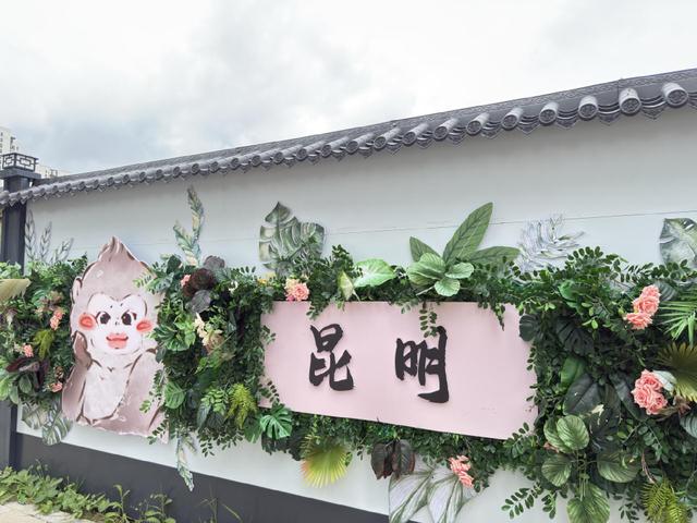 巫家坝 “童话街”走红 成城市新打卡点