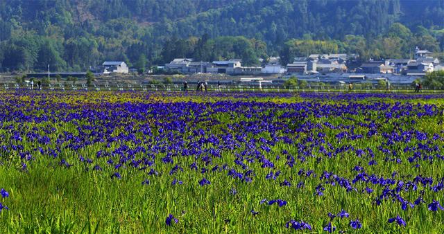 腾冲，真的值得来一趟！丨解锁云南小众宝藏地图·腾冲科学家论坛特别篇