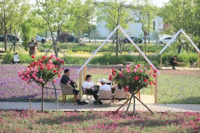 出发宿城！解锁“野趣+落日”的新玩法