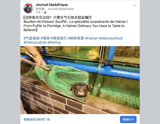多家海外华媒聚焦推介美丽陵水！