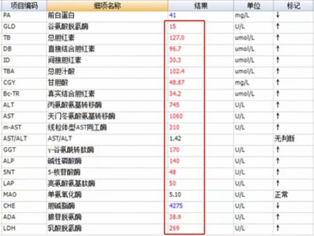 胶原蛋白饮哺乳期能喝吗 2026年胶原蛋白饮哺乳期能喝吗会回奶吗